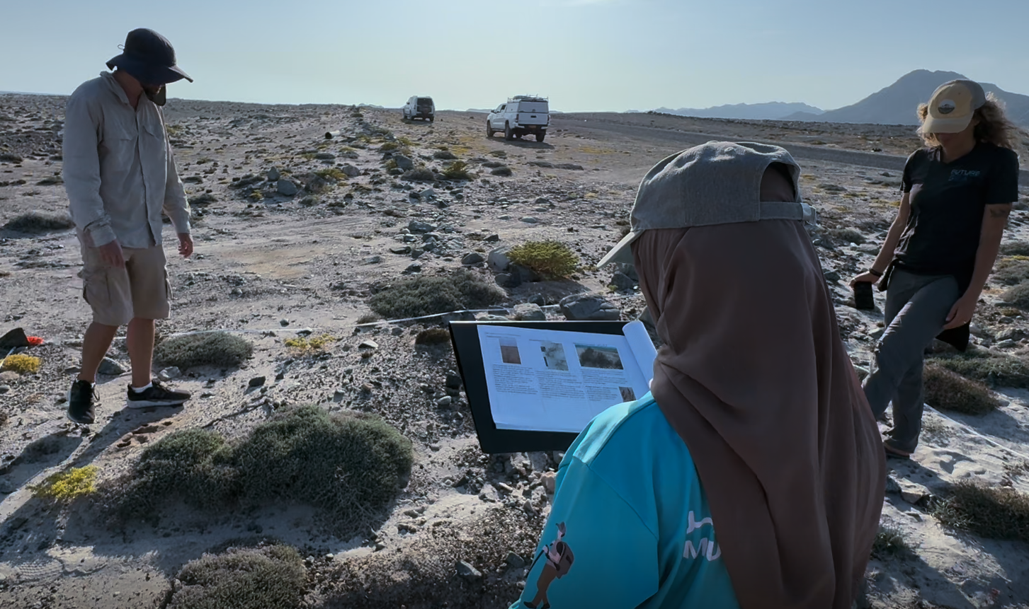 Oman Observer: Regeneration project enhances Masirah Island’s ecological value