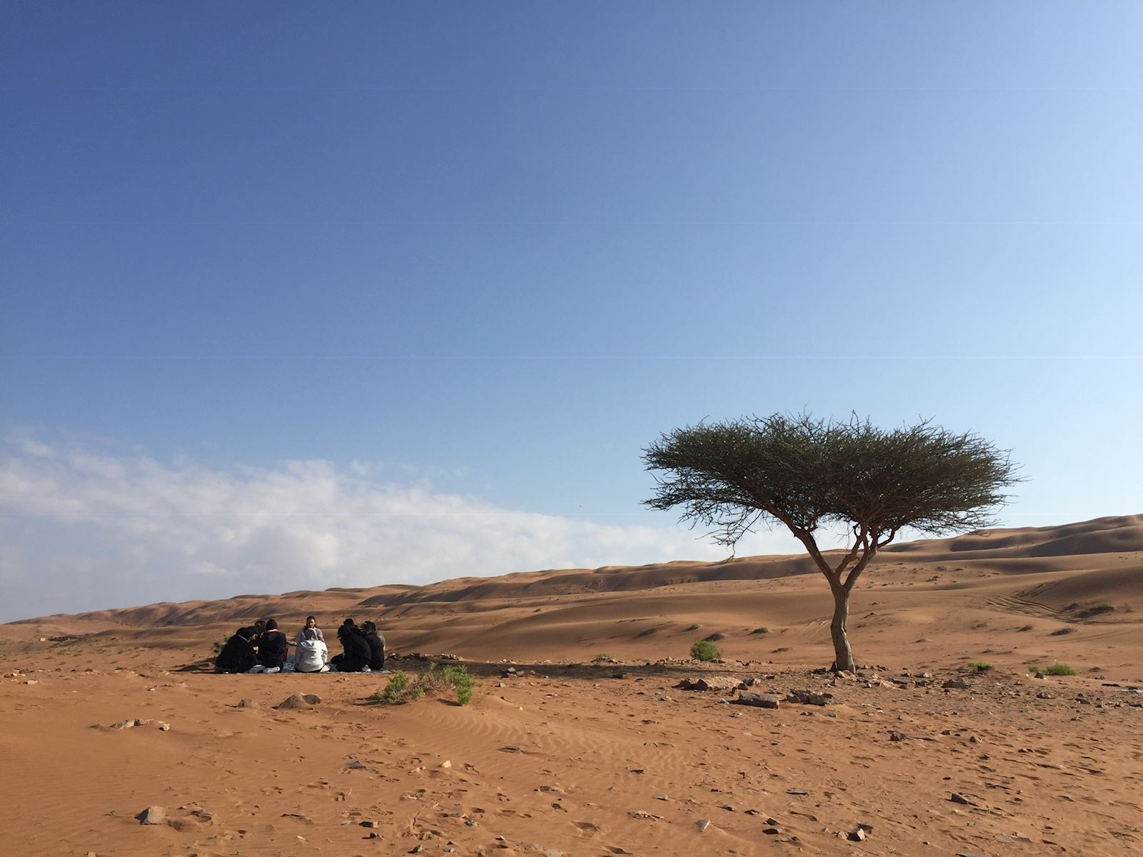 INSIGHT Wilderness and Self-Discovery